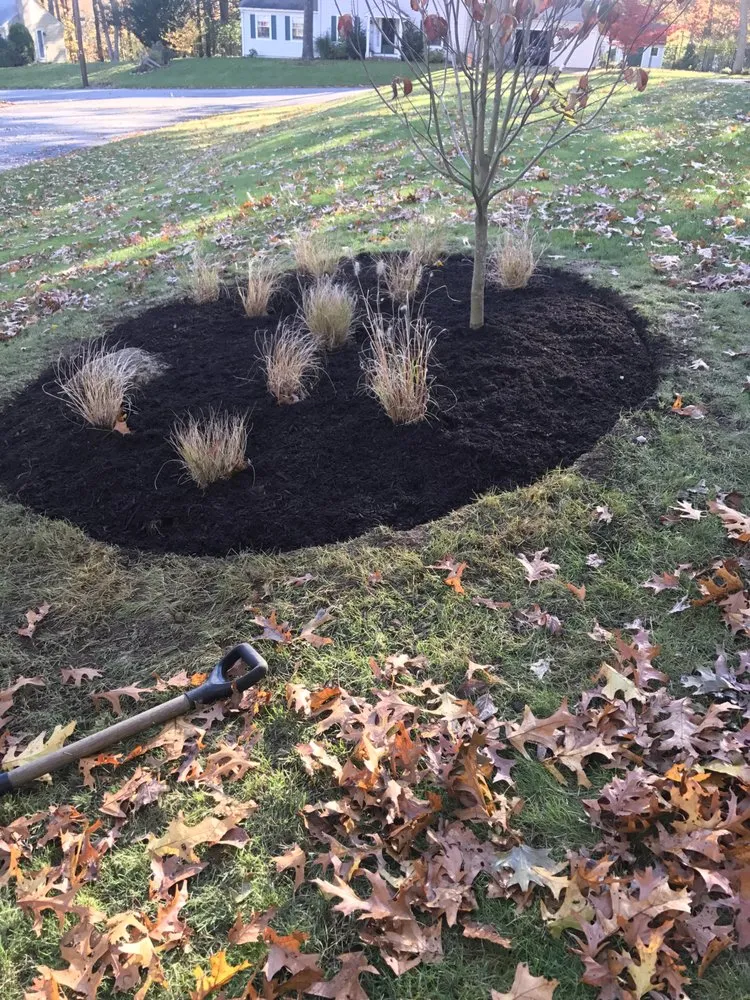 Affordable landscape installation experts serving Fall River, MA - Forever Green