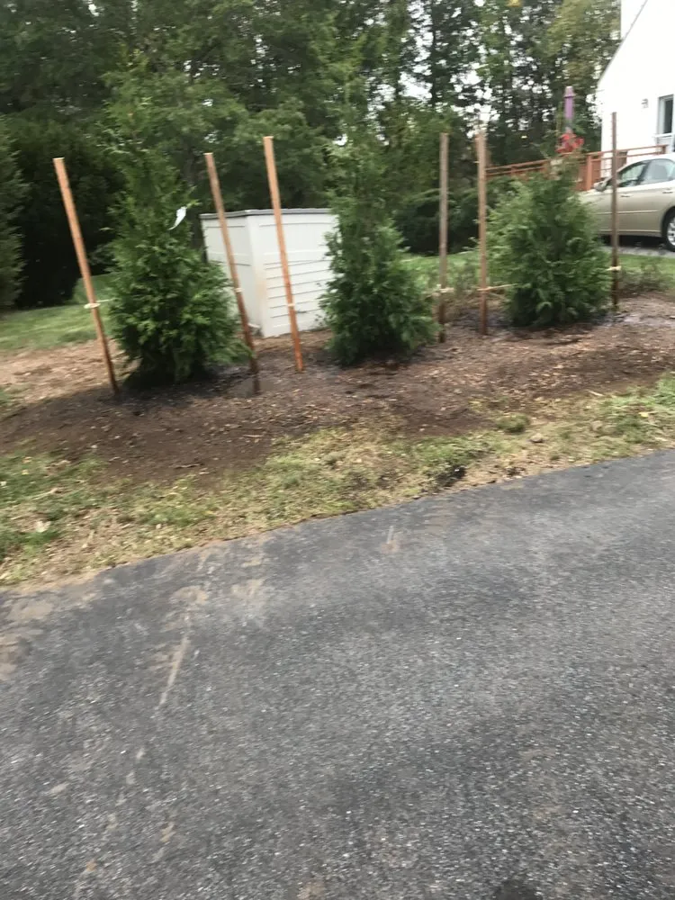 Expert lawn care service in Fall River, MA - Forever Green