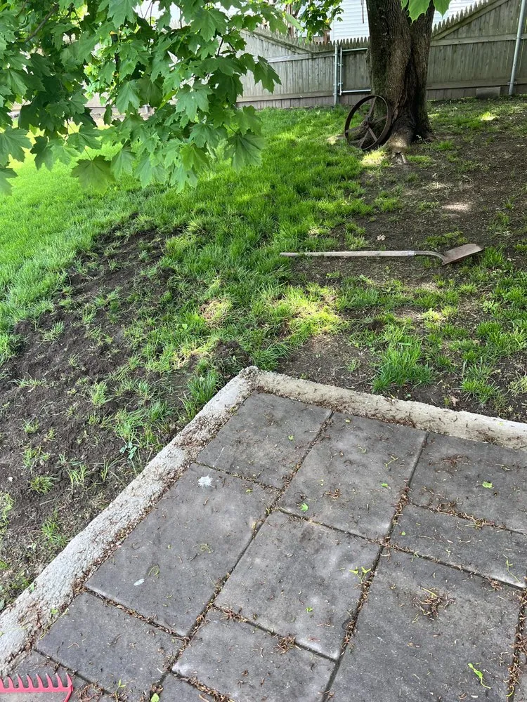 Local yard cleanup service in Fall River, MA - Forever Green