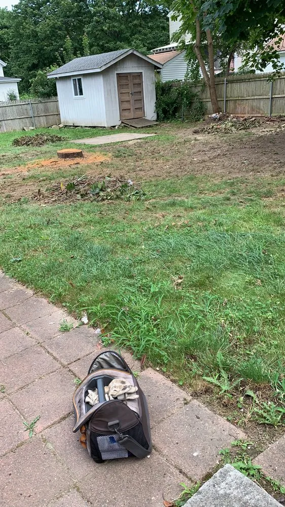 Trusted landscape design in Fall River, MA by Forever Green