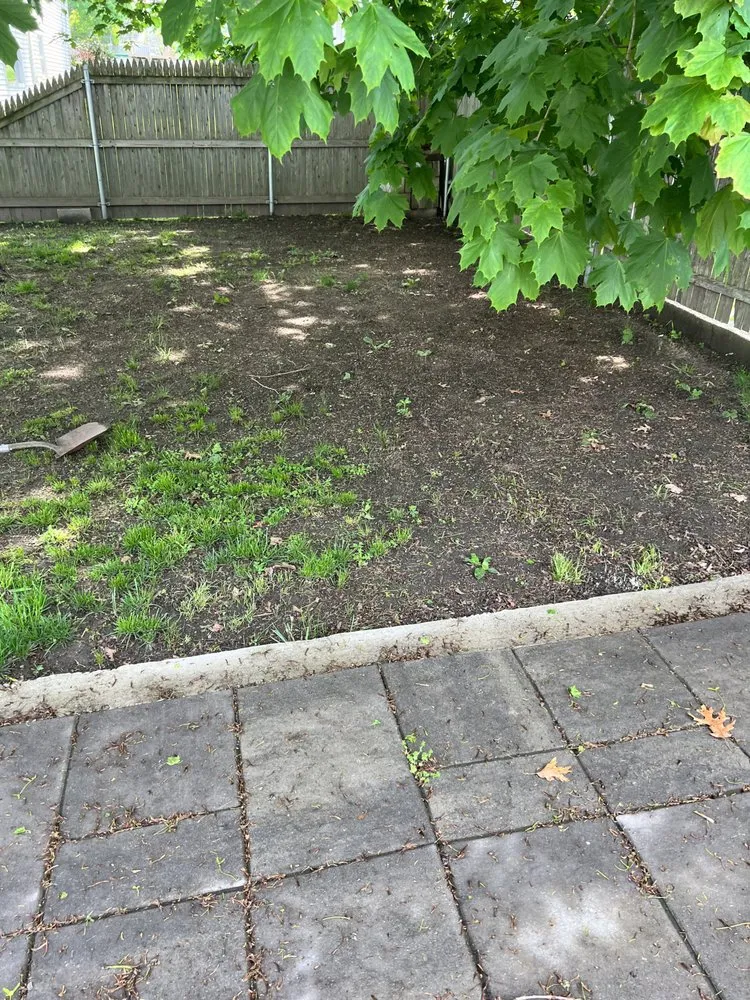 Reliable landscaping services experts serving Fall River, MA - Forever Green