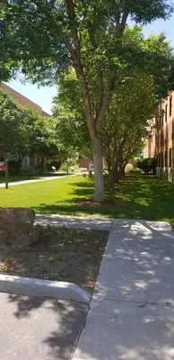 Professional garden landscaping for year-round maintenance in Garden City, ID by Forever Green