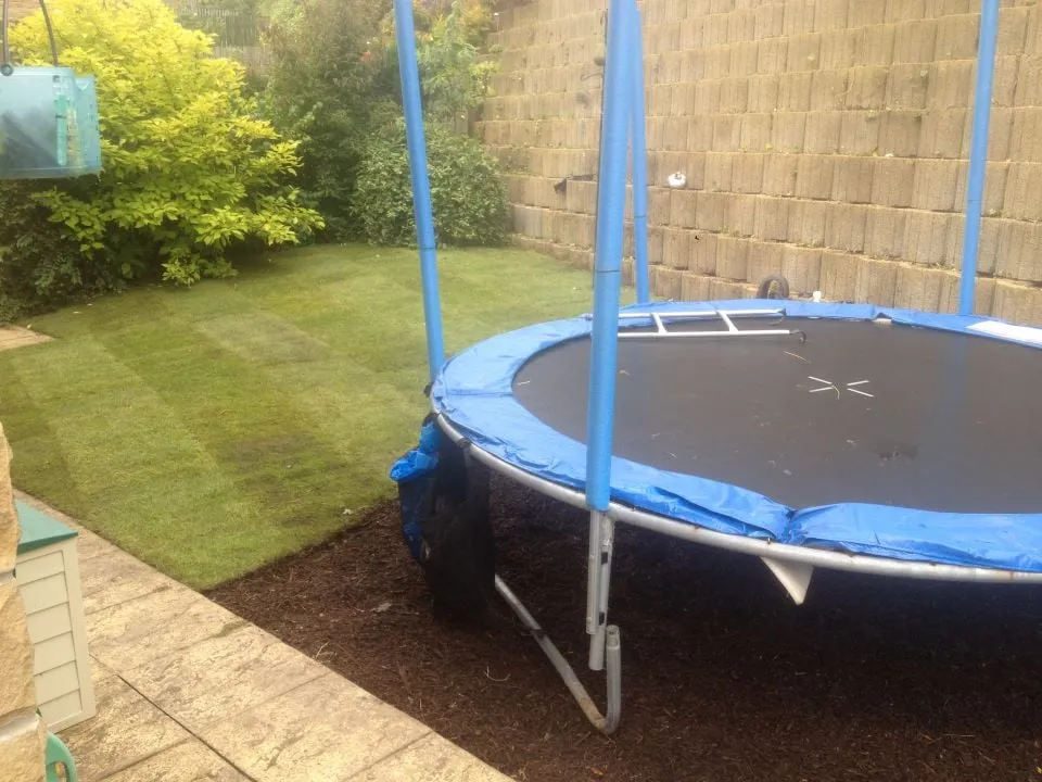 Custom residential landscaping experts serving Yucca Valley, CA - Forever Green Gardens