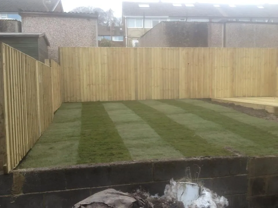 Trusted residential landscaping for year-round maintenance across Yucca Valley, CA - Forever Green Gardens