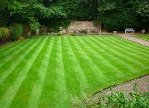 Expert lawn care service for outdoor upgrades across Missoula, MT - Forever Green Landscape