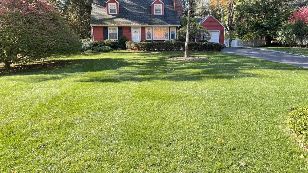 Custom lawn mowing service in Mount Kisco, NY - Forever Green Landscape Services