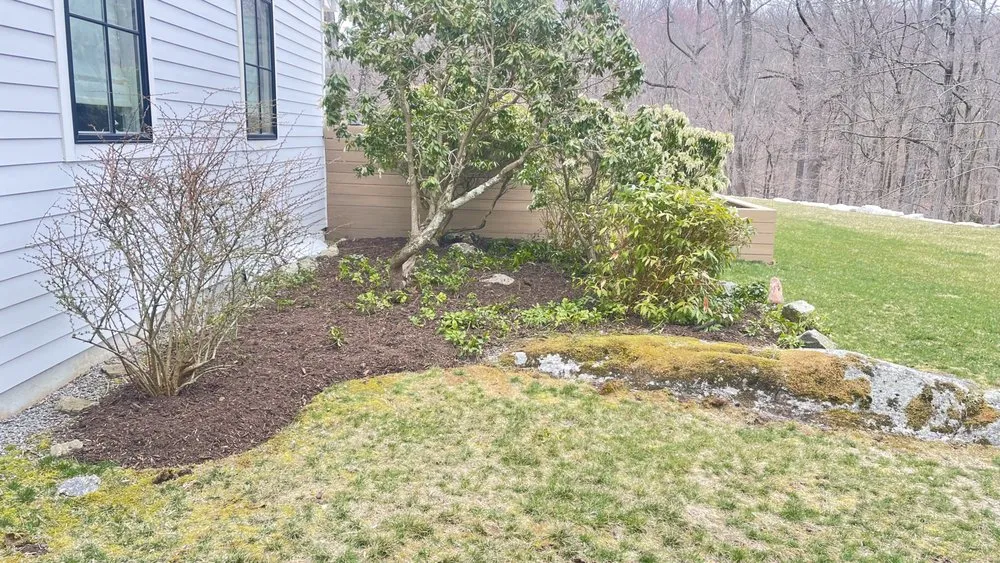 Top-rated yard cleanup service in Mount Kisco, NY by Forever Green Landscape Services
