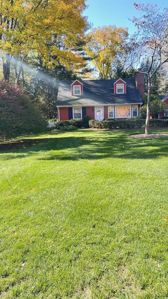 Expert outdoor landscaping in Mount Kisco, NY - Forever Green Landscape Services