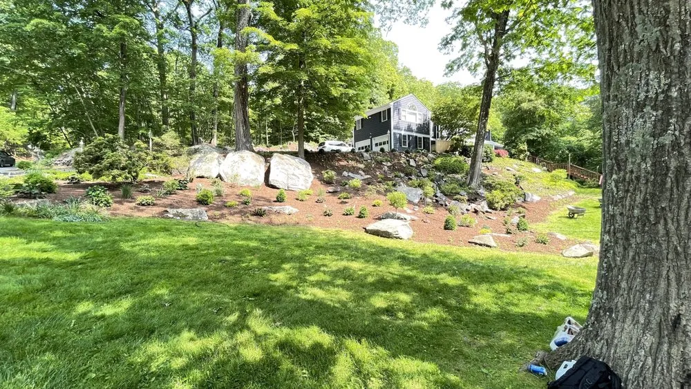 Professional yard cleanup service in Mount Kisco, NY by Forever Green Landscape Services