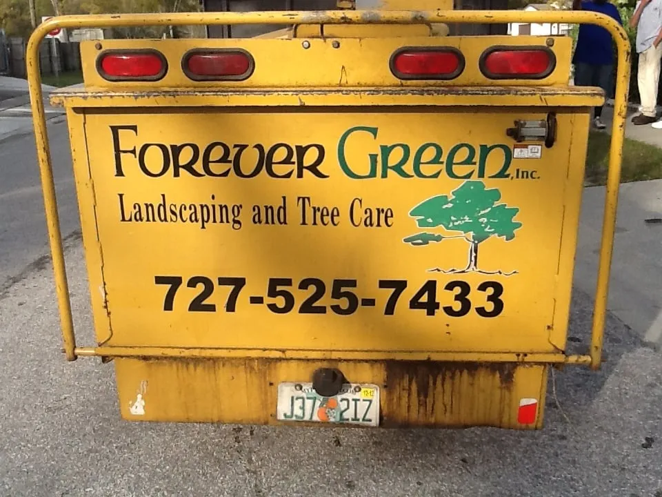 Professional lawn care service in Saint Petersburg, FL by Forever Green Landscaping & Tree Service