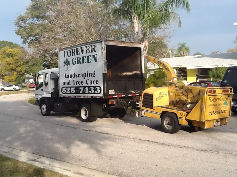 Reliable lawn mowing service in Saint Petersburg, FL by Forever Green Landscaping & Tree Service
