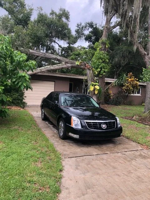 Local landscape installation with custom design across Saint Petersburg, FL - Forever Green Landscaping & Tree Service