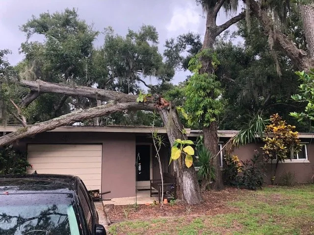 Affordable garden landscaping in Saint Petersburg, FL - Forever Green Landscaping & Tree Service