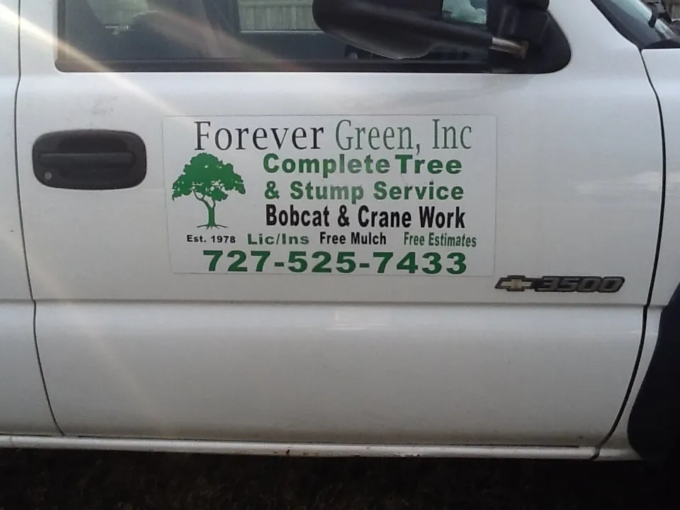 Reliable outdoor landscaping in Saint Petersburg, FL - Forever Green Landscaping & Tree Service