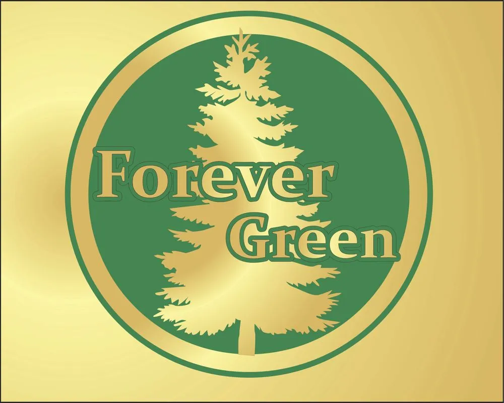 Trusted lawn care service for year-round maintenance across Greenfield Park, NY - Forever Green Landscaping