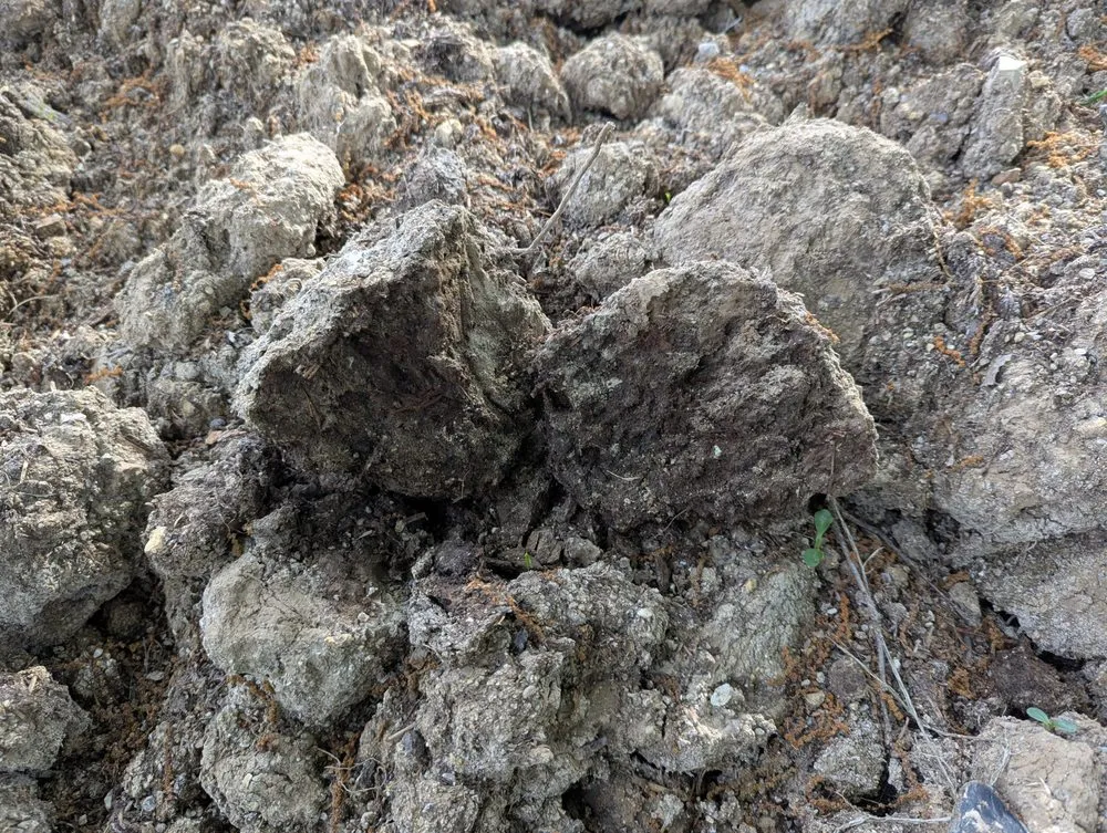 Local residential landscaping in Lebanon, MO - Forever Green Landscaping