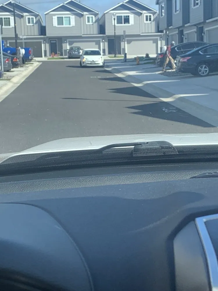 Expert landscape installation experts serving New Castle, DE - Forever Green Landscaping