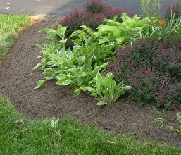 Trusted landscaping services with custom design in Parkville, MD by Forever Green Landscaping
