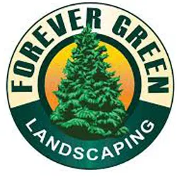 Trusted yard cleanup service in Parkville, MD - Forever Green Landscaping