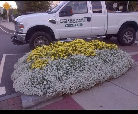 Forever Green Lawn & Landscape