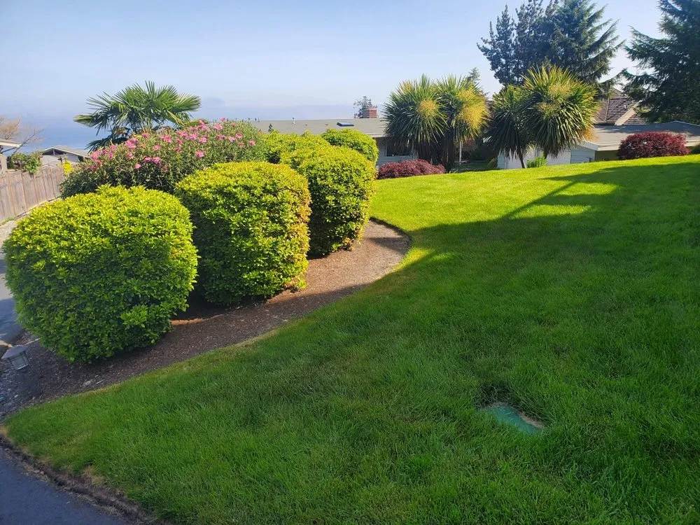 Expert landscape installation experts serving Auburn, WA - Forever Green Lawn Care