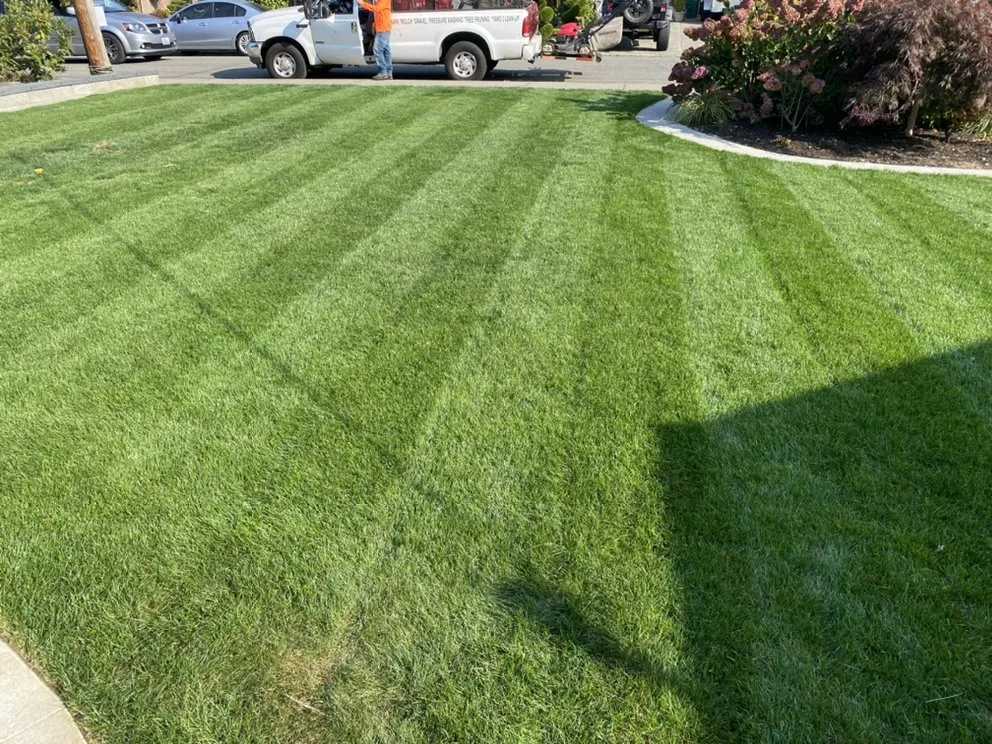 Reliable landscaping services experts serving Auburn, WA - Forever Green Lawn Care
