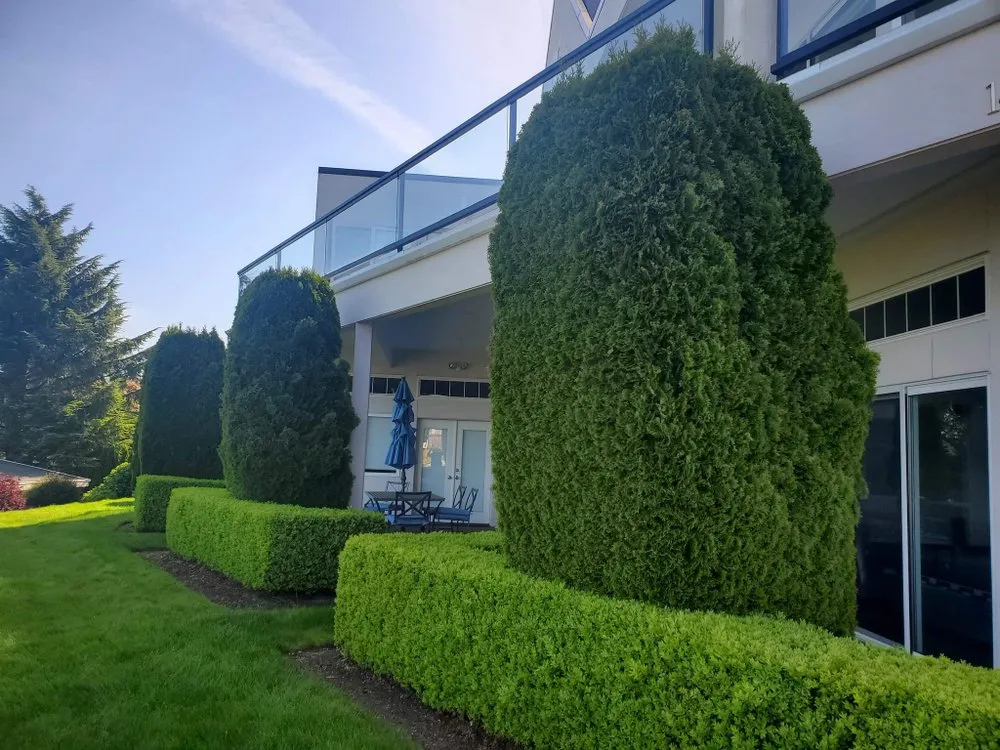 Custom residential landscaping in Auburn, WA by Forever Green Lawn Care