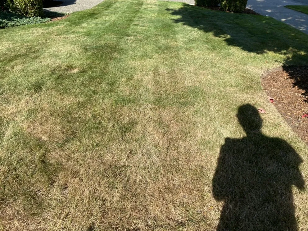 Affordable yard maintenance for beautiful yards in Auburn, WA by Forever Green Lawn Care