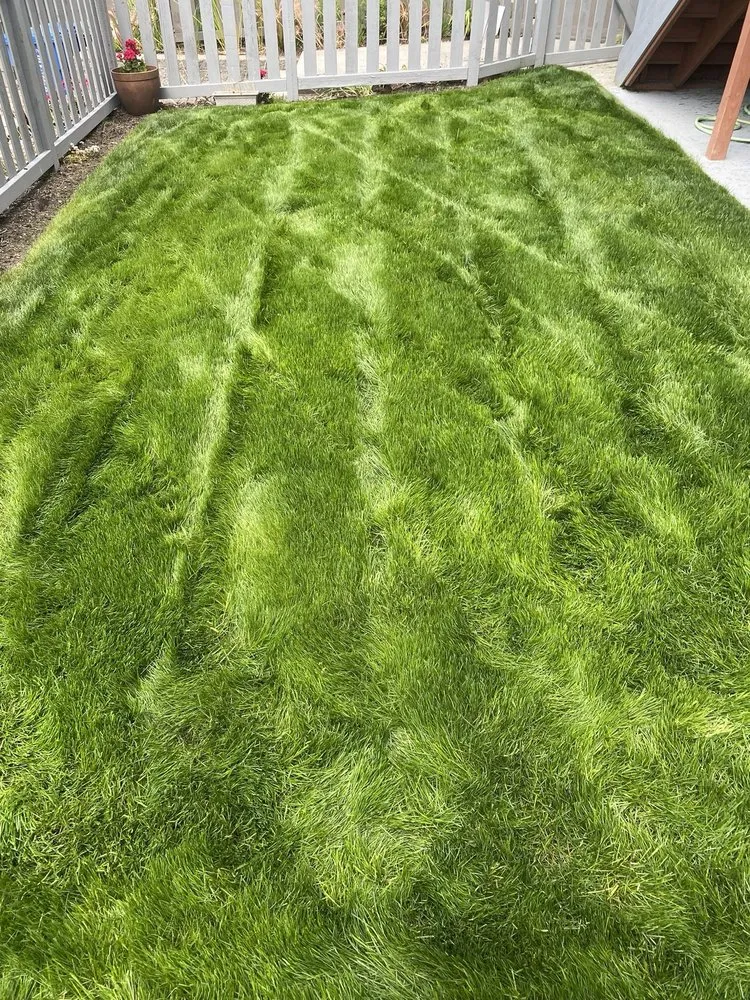Custom landscape installation experts serving Auburn, WA - Forever Green Lawn Care