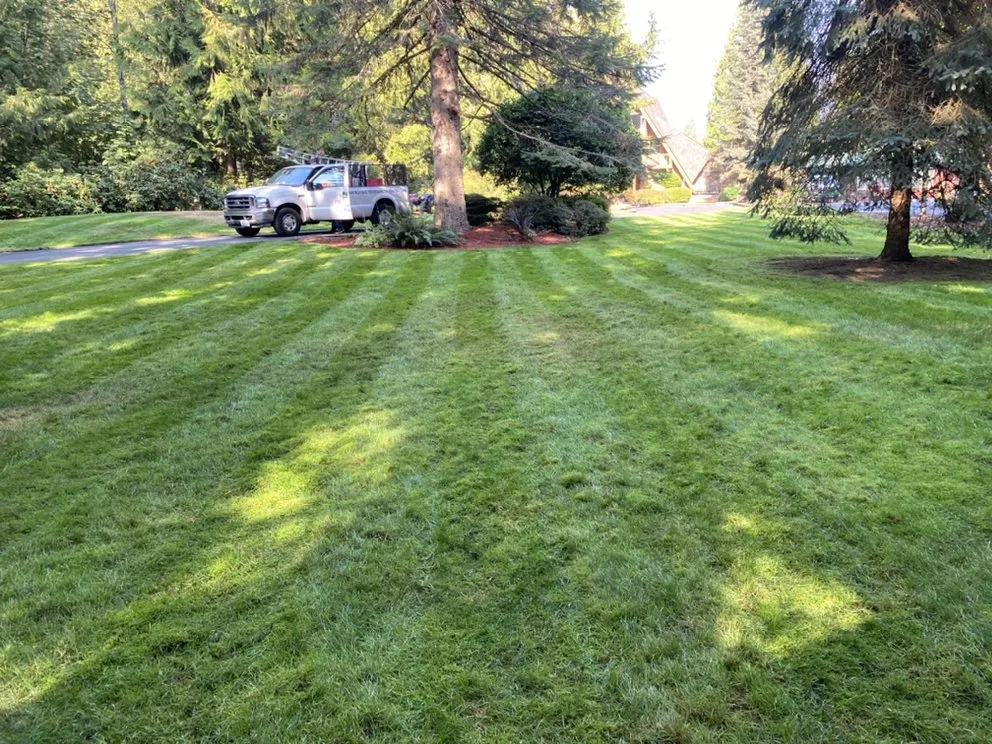 Expert yard maintenance in Auburn, WA by Forever Green Lawn Care