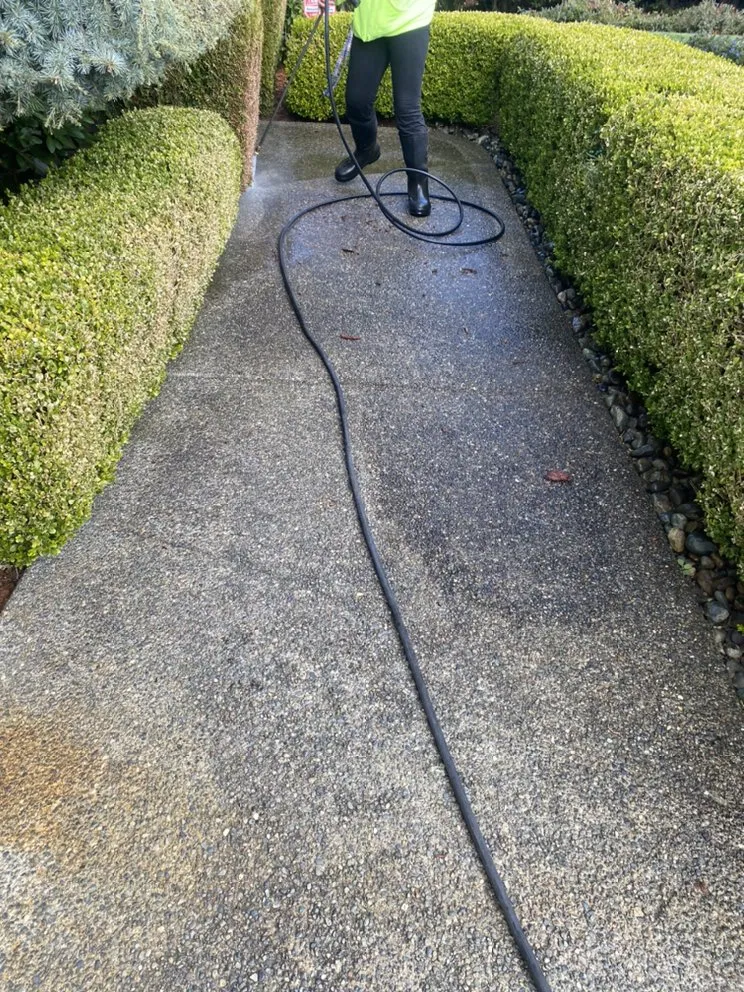 Custom lawn care service in Auburn, WA - Forever Green Lawn Care