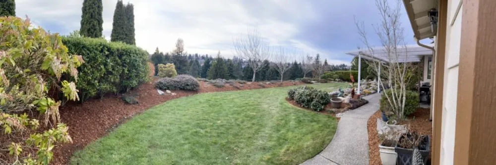Affordable yard cleanup service experts serving Auburn, WA - Forever Green Lawn Care