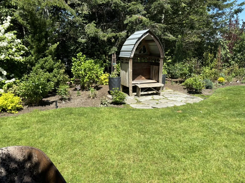 Reliable yard cleanup service for residential properties across Auburn, WA - Forever Green Lawn Care