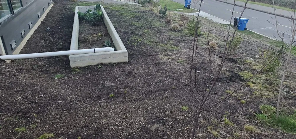 Custom yard maintenance in Auburn, WA by Forever Green Lawn Care