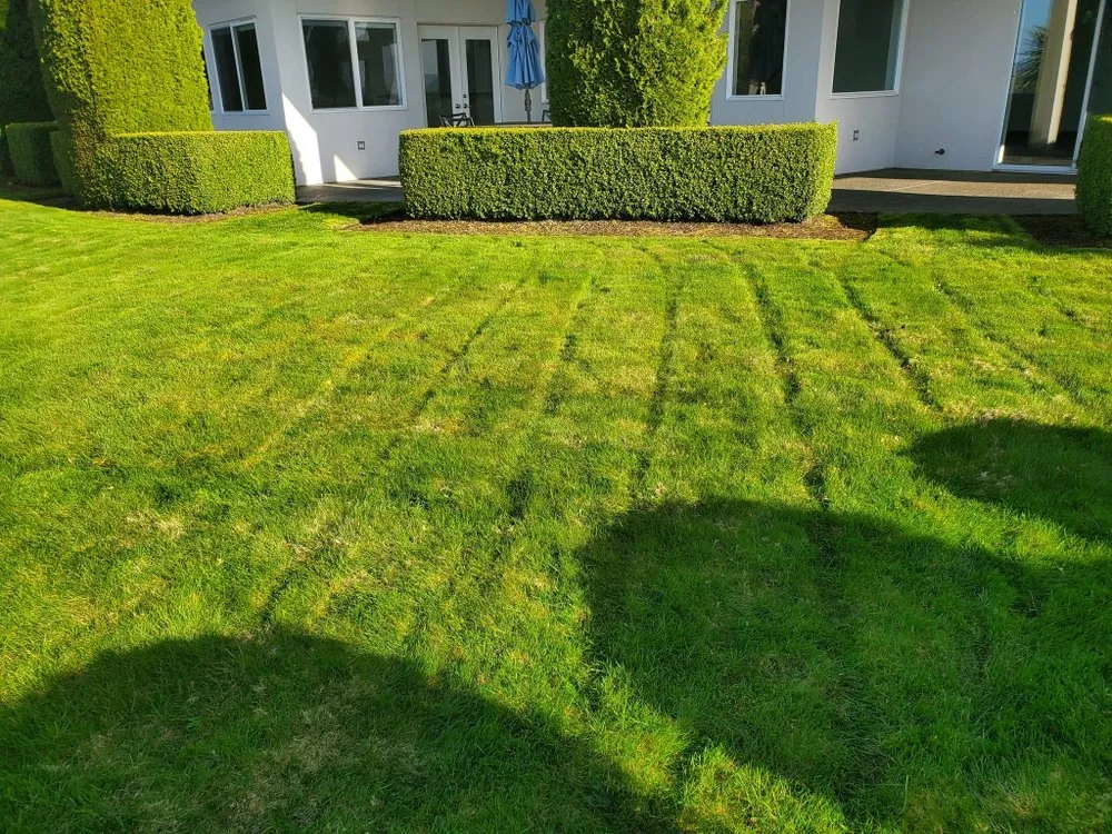 Custom landscape installation for beautiful yards in Auburn, WA by Forever Green Lawn Care