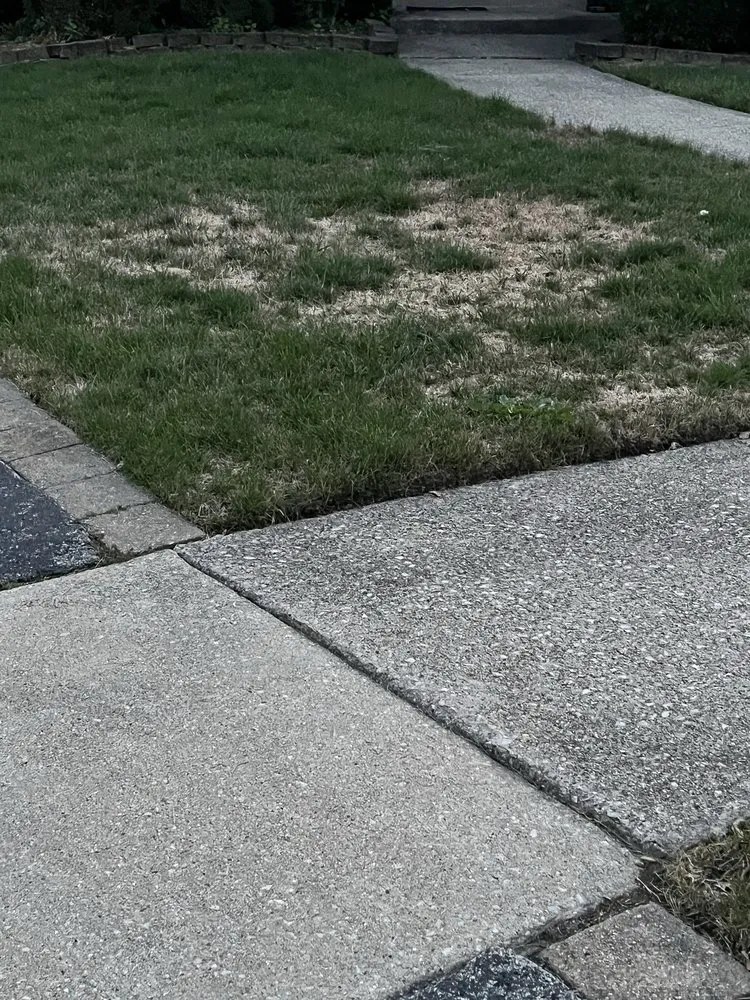 Local lawn mowing service in Crown Point, IN - Forever Green Lawn Care