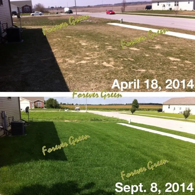 Reliable outdoor landscaping experts serving Crown Point, IN - Forever Green Lawn Care