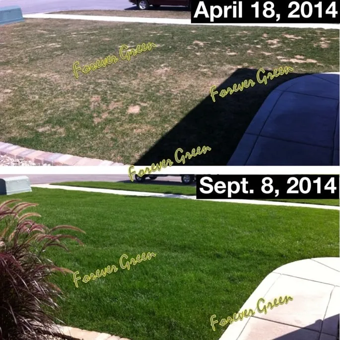 Trusted landscape installation in Crown Point, IN by Forever Green Lawn Care