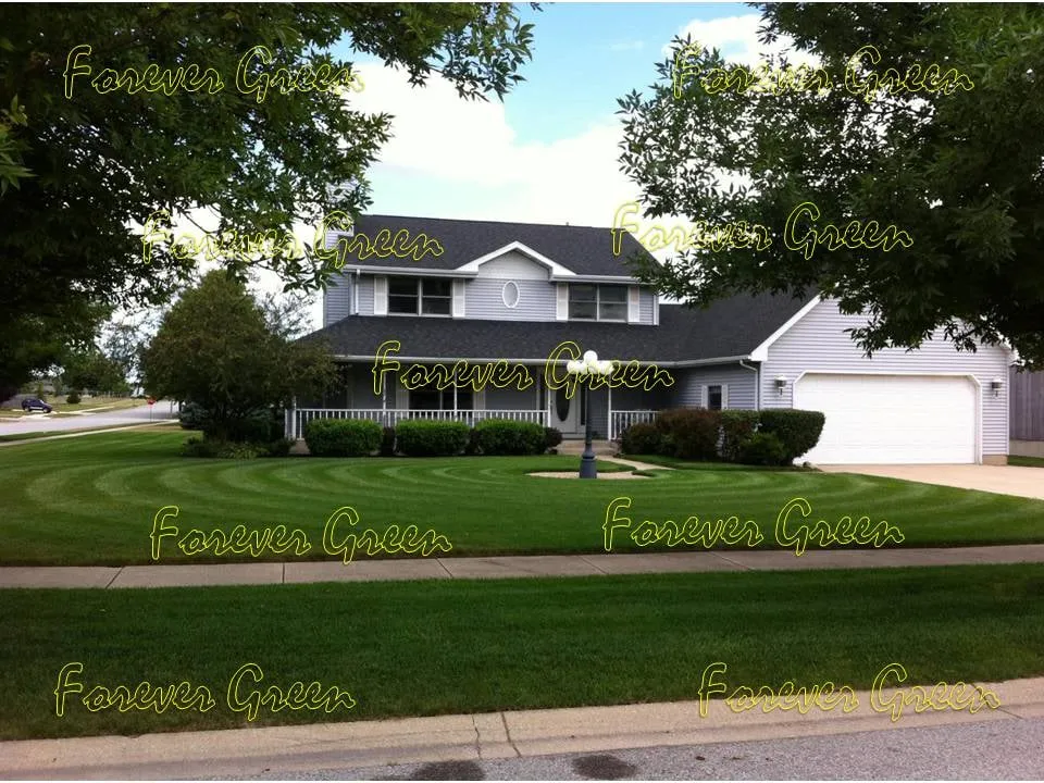 Trusted landscaping services for homes in Crown Point, IN by Forever Green Lawn Care