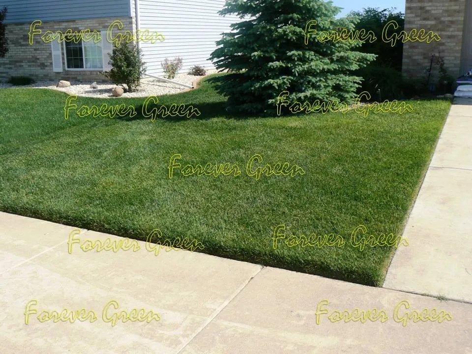 Affordable residential landscaping in Crown Point, IN by Forever Green Lawn Care