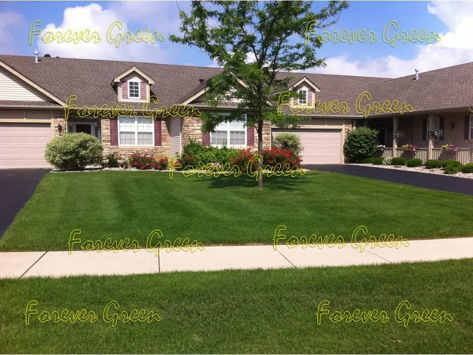 Local lawn mowing service for beautiful yards in Crown Point, IN by Forever Green Lawn Care