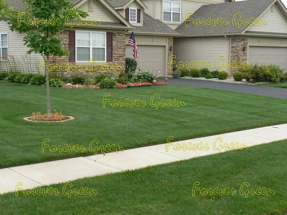 Expert garden landscaping for year-round maintenance across Crown Point, IN - Forever Green Lawn Care
