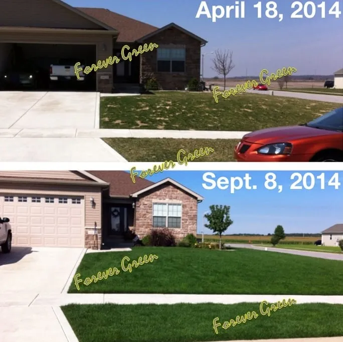 Local landscape design in Crown Point, IN - Forever Green Lawn Care