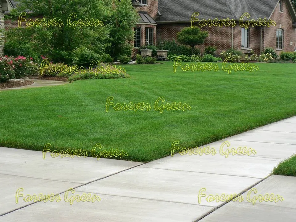Trusted yard cleanup service with custom design across Crown Point, IN - Forever Green Lawn Care