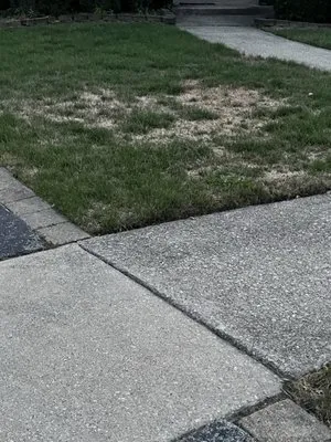 Forever Green Lawn Care Logo