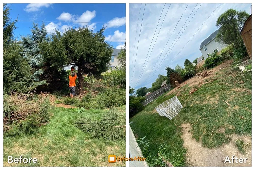 Professional landscape design with custom design in Fairborn, OH by Forever Green Lawn Care