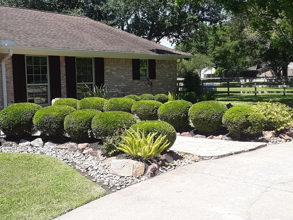 Affordable yard cleanup service for beautiful yards in La Porte, TX by Forever Green Lawn Care
