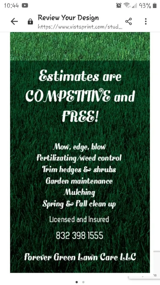 Custom yard cleanup service in La Porte, TX by Forever Green Lawn Care