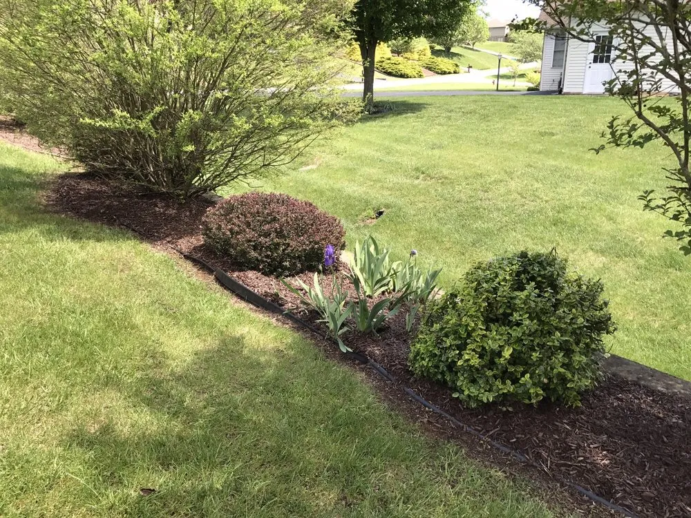 Expert garden landscaping in New Castle, VA by Forever Green Lawn Care