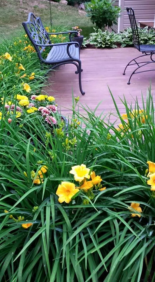 Professional landscape design for beautiful yards in New Castle, VA by Forever Green Lawn Care